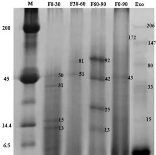 Table 1 Reactivity parameters regarding immunodiffusion (ID) tests with five antigenic extracts