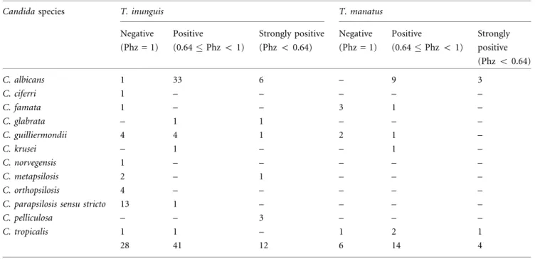 Table 3. Production of Proteases by Candida spp. Isolated from Sirenians.