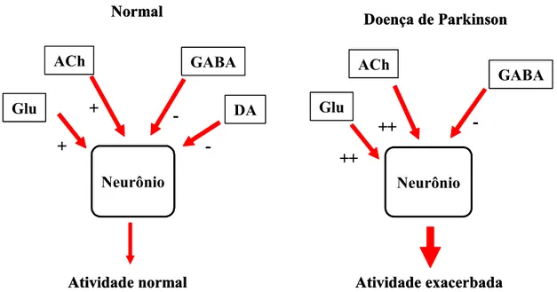 Figura 2 - Balanço entre as ações estimulatórias (via glutamato-Glu e acetilcolina-ACh)  e inibitórias (GABA e dopamina-DA) mantendo o funcionamento normal do circuito  neuronal e as possíveis alterações que ocorrem na doença de Parkinson 