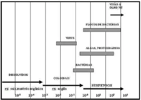 Figura 2.3: Características do tamanho das partículas contidas na água                     Fonte: Von Sperling (1996)