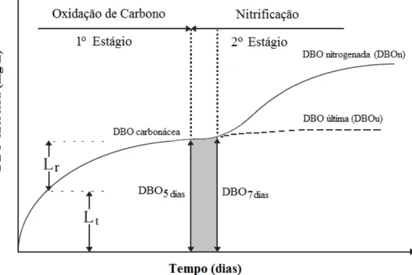 Figura 2.5: Evolução de DBO em função do tempo. 