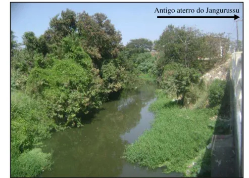 Figura  4.3.1  –   Vegetação  ribeirinha  na  Bacia  do  Rio  Cocó  no  bairro  Jangurussu