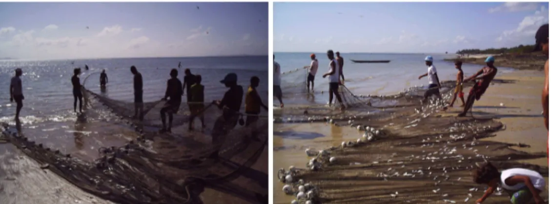 Figura 20: Recolhimento da rede em um lance de pesca de calão na comunidade de Cabuçu, Baía de  Todos os Santos (foto: arquivos SOMA Desenvolvimento e Meio Ambiente Ltda.).