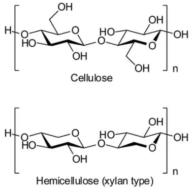 Figura 2 Esquema típico de Hemicelulosastomado de Kobayash e Fukuoka (2013).   