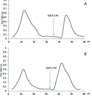 Figura 6- Perfis cromatográficos obtidos a partir de 5 mg de Ricina em diferentes  matrizes de hemiceluloses reticuladas