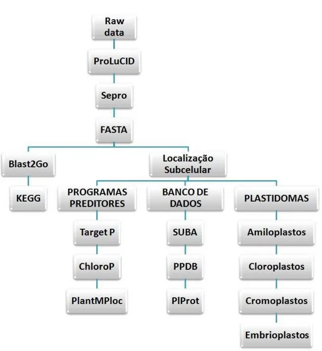 Figura 9 - Esquema mostrando as etapas adotadas para a análise dos dados obtidos por espectrometria de massa.