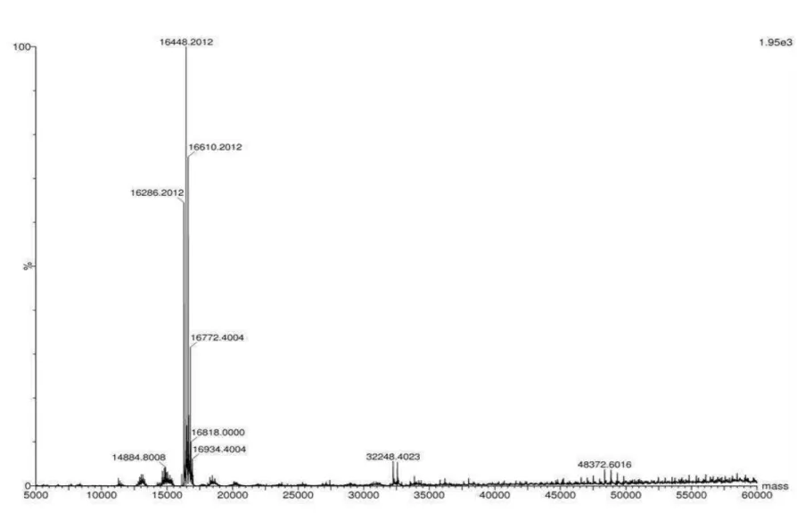 Figura 5 - Espectro de massa intacta deconvoluído de Frutalina 