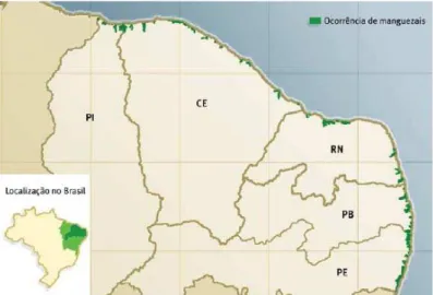 Figura 2.1 - Ocorrência de manguezais no nordeste brasileiro. Fonte: LACERDA (2006)  Devido ao seu posicionamento geográfico entre os ambientes marinho e  terrestre, e a configuração de sua vegetação, os manguezais atuam como verdadeiros  contensores da er