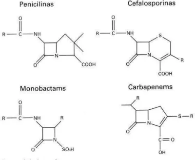 Figura 1 - Estrutura química dos antibióticos beta-lactâmicos 