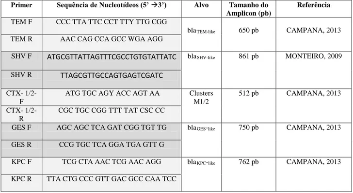 Tabela 1- Sequência dos primers utilizados para amplificação dos genes de resistência aos β- β-lactâmicos 