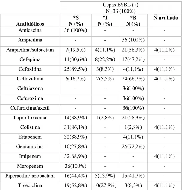 Tabela  3  -  Perfil  de  sensibilidade  antimicrobiana  de  isolados  clínicos  de  K