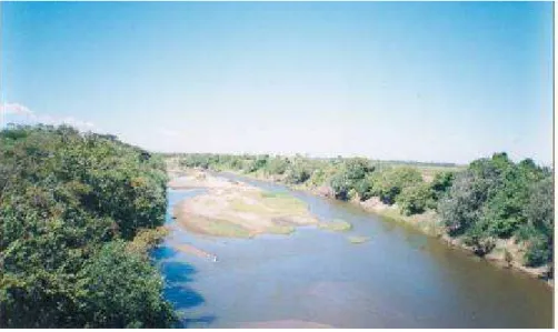 FIGURA 14 – Planície Fluvial-lacustre do rio Curu  Fonte: Pesquisa (2005) 