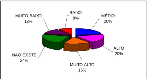 Gráfico 13 – A Empresa atua em todos os segmentos da Indústria Marmorista  Fonte: Pesquisa de campo, 2007 (Apêndice II) 