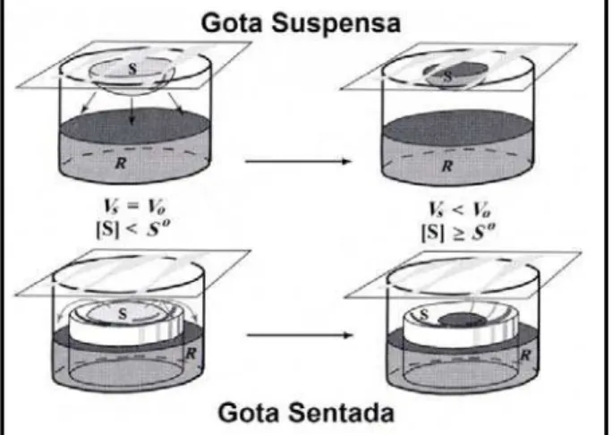 Figura 6- Técnicas da gota suspensa e gota sentada do método de difusão por vapor. 