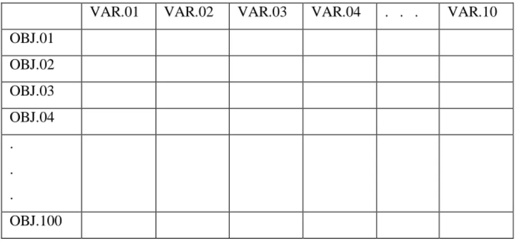Tabela 4.3- Exemplo de uma matriz com os dados no Excel para uma Análise  Fatorial Q-modal