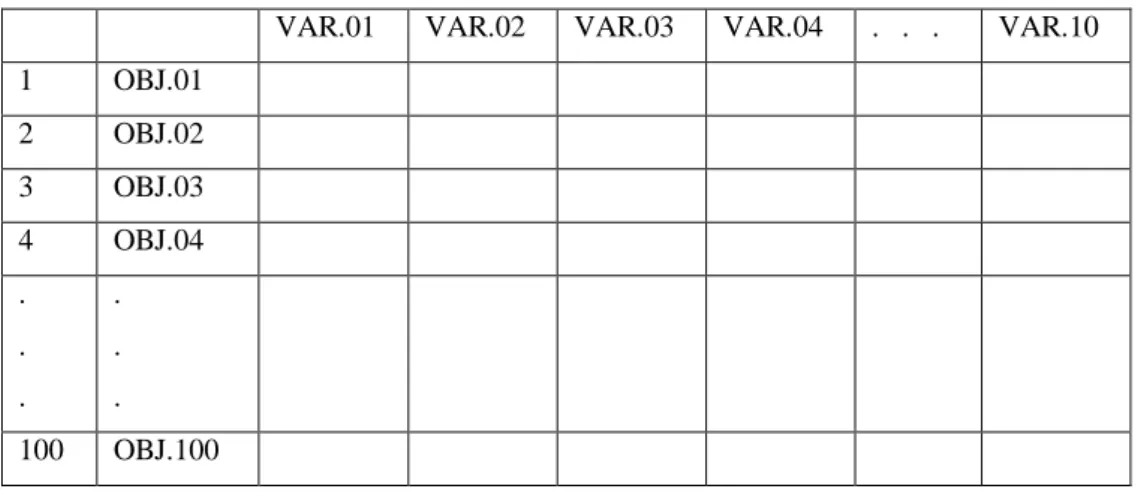 Tabela 4.4- Exemplo de uma matriz com os dados no Excel para uma análise  Cluster . A coluna da esquerda não é mostrada na planilha