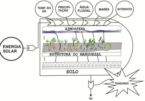 Figura  1  -Modelo  conceitual  da  &#34;Assinatura  energética&#34;  aplicada  ao  ecossistema  manguezal  (  Adaptado: Odum, 1967; Almeida, 2005)
