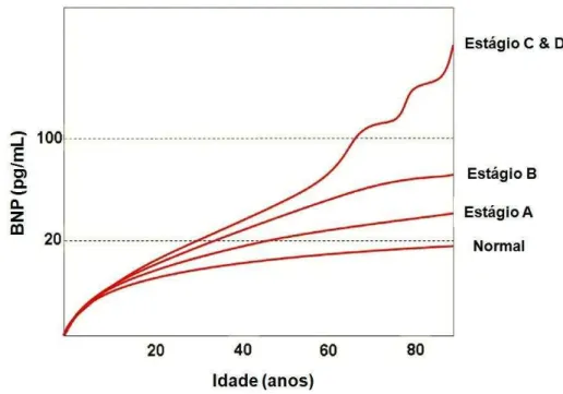 Figura 6  –  O BNP em diferentes estágios da Insuficiência Cardíaca  Fonte: Adaptado de Daniels e Maisel (2007) 