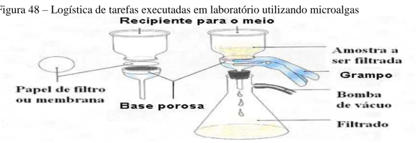 Figura 48  –  Logística de tarefas executadas em laboratório utilizando microalgas 