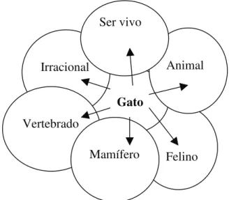 Gráfico V: A rede de similaridade de sentidos atribuída ao conceito gato. 