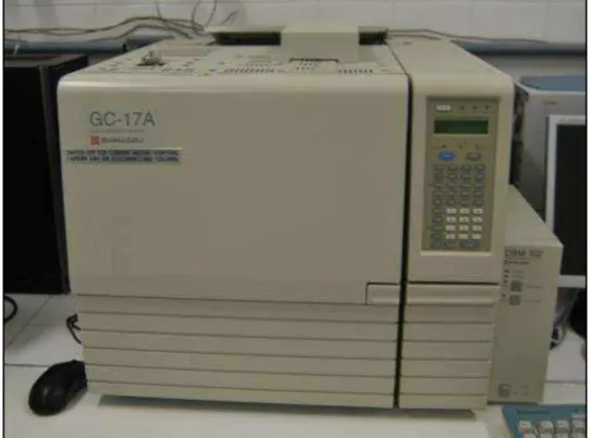 FIGURA 7- cromatógrafo GC  17A,  marca Shimadzu, acoplado a um detector de condutividade térmica  (TCD)