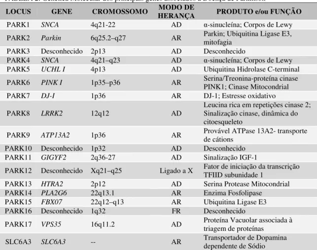 TABELA 2: Genética Molecular dos principais genes associados à Doença de Parkinson  LOCUS  GENE  CROMOSSOMO  MODO DE 