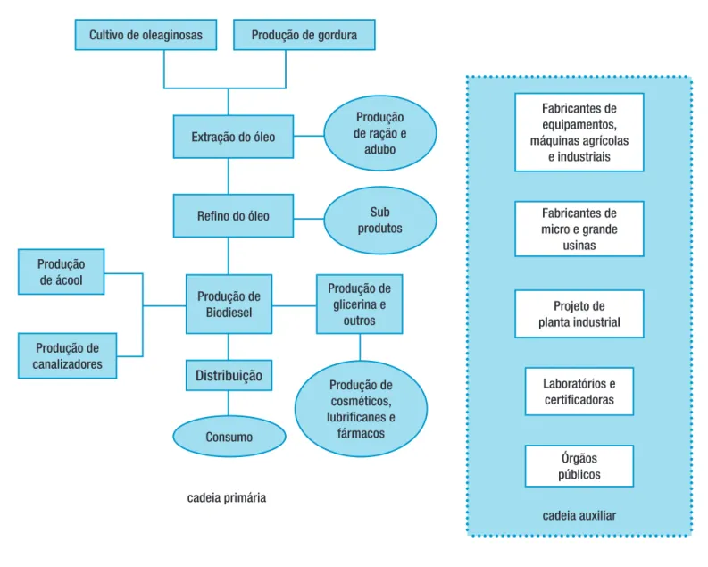 FIGURA 2 – Cadeia produtiva do biodiesel