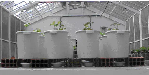 FIGURA 2 – Vista dos recipientes para as coletas de água drenada 