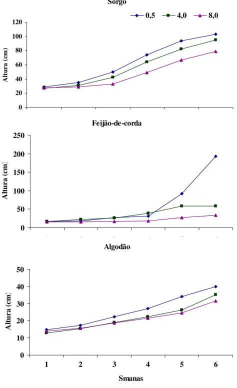 FIGURA  3  –  Evolução  do  crescimento  em  plantas  de  sorgo  feijão-de-corda  e  algodão  nos  diferentes períodos de realização das medições