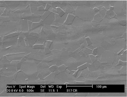 Figura 24- Micrografia do aço AISI 317L, no estado como recebido obtida por MEV, livre de  precipitados