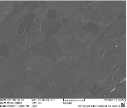 Figura  28-  Micrografia  do  aço  AISI  317,  exposto  a  500°C  por  96h,  obtida  por  MEV  (500x)