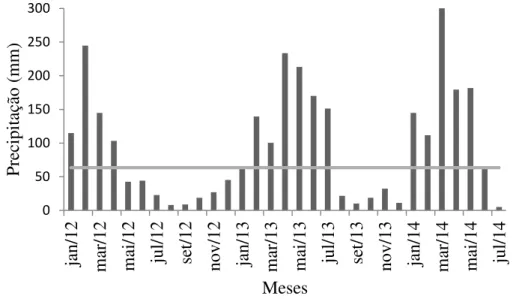 Figura 6 -  Precipitações mensais na área de estudo no período de janeiro de 2012 a julho de  2014 