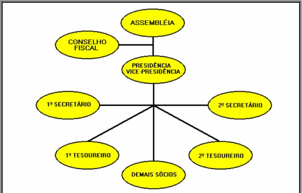 Figura 4 – Organograma da Associação dos Fruticultores do Município de Itapajé – AFMI
