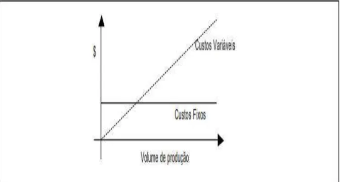 Figura  6  –  Comportamento  dos  custos  fixos  e  variáveis  de  acordo  com  o  comportamento da produção
