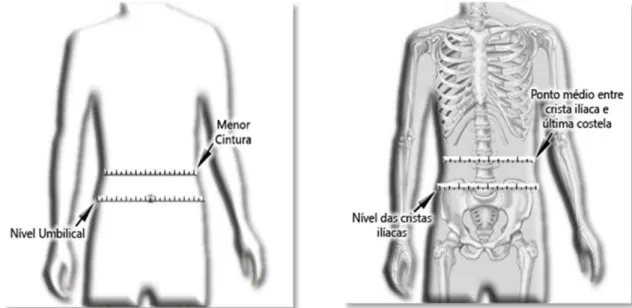 Figura 2  –  Ilustração dos locais anatômicos utilizados para a aferição do perímetro  da cintura