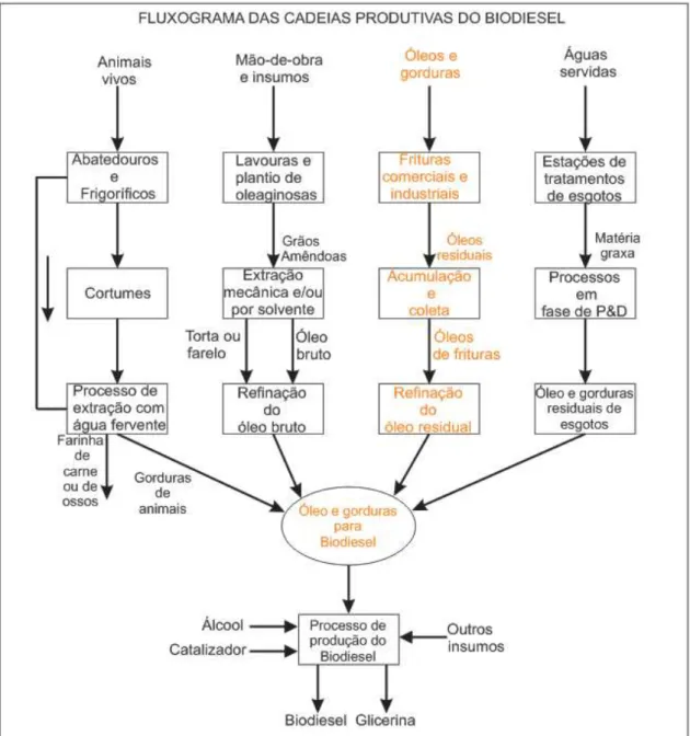 Figura 3.1- Fluxograma da Cadeia Produtiva Genérica do Biodiesel    Fonte: Adaptado de Parente (2003) apud Brandão Filho et al