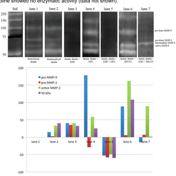 Figure  1.  Zymographic  analysis  of  proteins  extracted  from  dentin  powder  and  densitometric  evaluation  of  bands  expressed  as  percentage  increase/decrease  of  MMPs  activity  among  the  different  treatment  groups  compared  with  mineral