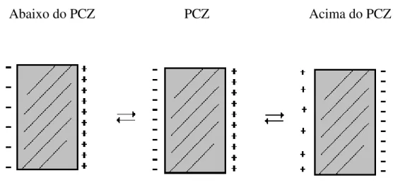 Figura 3 - Representação esquemática de cargas do solo, em função do  pH. 