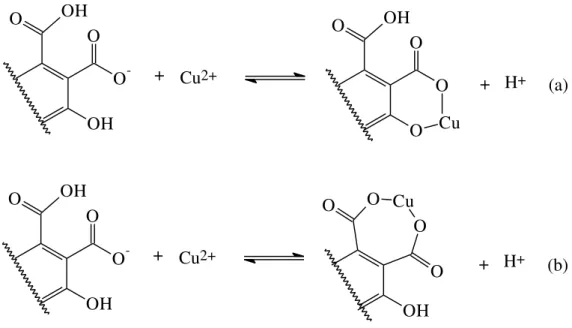 Figura 1 - Mecanismo de quelação entre íons Cu 2+  e ácidos fúlvico: a) formação  de um anel de seis membros, b) formação de um anel de sete membros