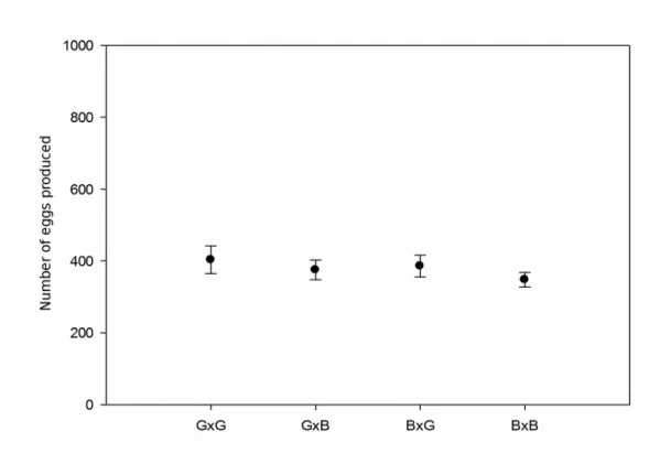 Figure 4. Eggs produced per couple parent (phenotypes green (G) and black (B); female X male, respectively).