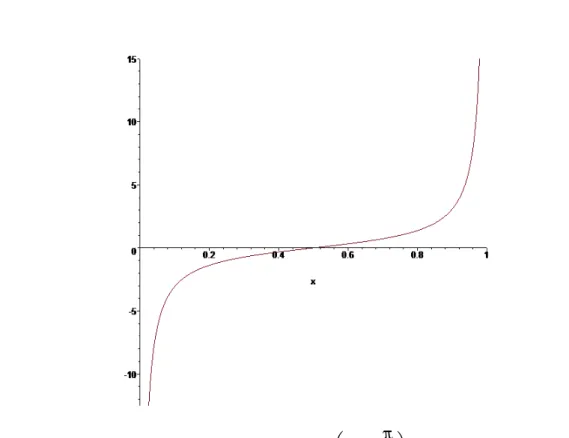 Figura 5.0.1: Gráﬁco da função y = tan  π x − π 2
