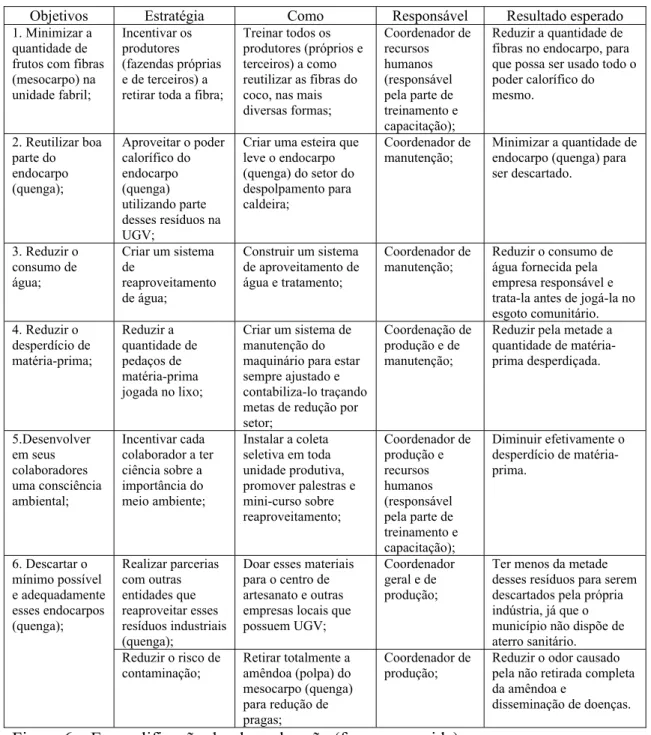 Figura 6 – Exemplificação do plano de ação (forma resumida). 