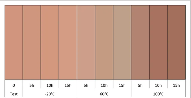 Figura  4  -  Representação  das  cores  das  madeiras  de  Eucalyptus  grandis  submetidas  ao  tratamento  térmico  e  também  da  madeira  in  natura  (testemunha)