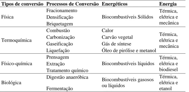 Tabela  1:  Diferentes  processos  de  conversão  de  energia  da  biomassa.   (Adaptado de Staiss e Pereira (2001))