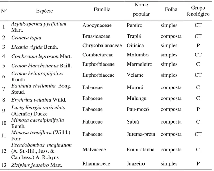 Tabela  1  –  Espécies  estudadas,  família  (de  acordo  com  o  sistema  de  classificação  APG  II),  nome  popular,  classificação do tipo de folha e grupo fenológico