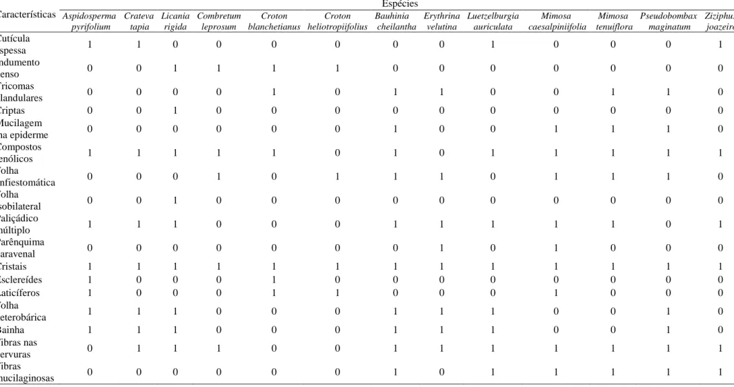 Tabela 2 – Matriz de presença e ausência das principais características anatômicas observadas