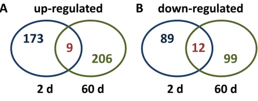 Figure 1- Heterogeneity of differentially expressed unigenes in sugarbeet roots treated 