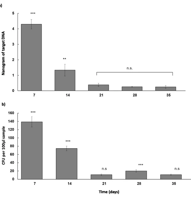 Figure 4. Time course quantification (7, 14, 21, 28 and 35 days) of endophytic colonization of Metarhizium robertsii  ARSEF  2575-GFP  in bean  roots