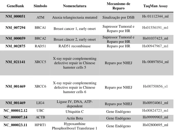 Tabela  3:  Genes  avaliados  por  qPCR  envolvidos  nos  mecanismos  de  reparo  em  DSBs  no  DNA