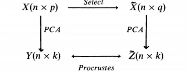 Figura 3: Diagrama ilustrativo da análise de procrustes dada por Krzanowski (1987). 